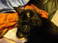 IMGP4212.webp