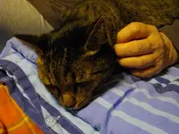 IMGP4205.webp