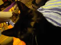 IMGP4206.webp