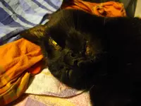 IMGP4209.webp