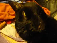 IMGP4210.webp