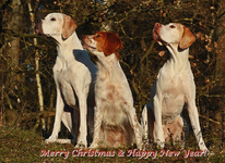Weihnachtselfen.webp