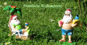 WIMG_1157 (1).webp