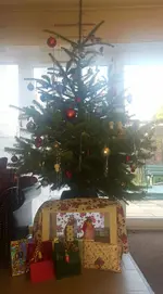 20161224_093030.webp