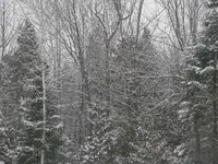 PC230341.webp