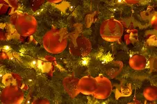_MG_9963.webp