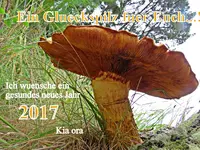 IMG_1506Kia ora.jpg