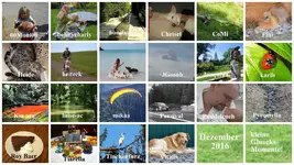 Dezember 2016 kleine Gluecksmomente v.webp