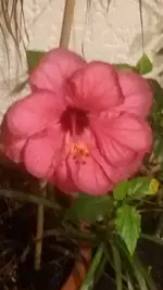 20161231_221715.webp
