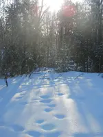 PC310342.JPG
