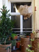 P1000816(1).webp