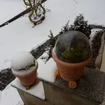 20170103_141946.webp