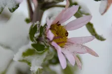 DSC_7142.JPG