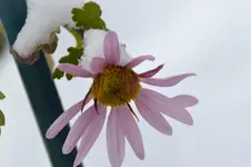 DSC_7144.JPG