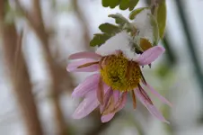 DSC_7147.webp