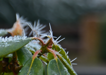 DSC_8745.webp