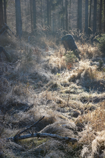 DSC_8859.webp
