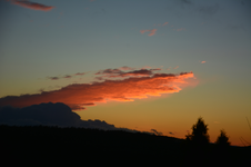 DSC_8729.webp