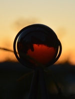 DSC_8911.webp