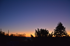 DSC_8912.webp