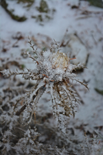 DSC_8926.webp