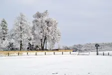 DSC_7206.jpg