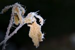 DSC_6958.jpg