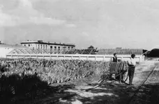 regner508.jpg