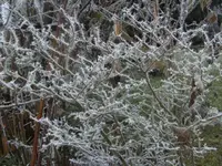 BILD6154.webp