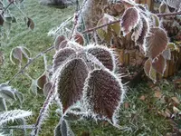BILD6155.webp