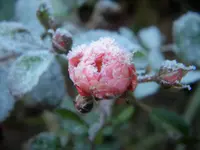 DSCN7486.jpg
