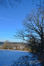 DSC_9005.webp