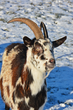 DSC_9012.webp