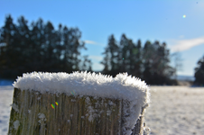 DSC_9026.webp