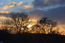 DSC_8989.webp