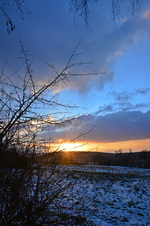 DSC_8991.webp