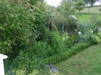 2016-06-18 Grenzbeet.webp
