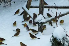 DSCF8326 (2).webp