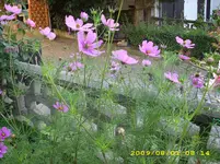 JD500002.webp