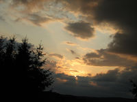 IMG_2394.webp