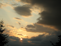 IMG_2396.webp