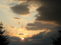IMG_2397.webp