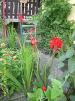 JD500012.webp