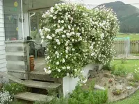 Haus & Garten alt   324 v.webp