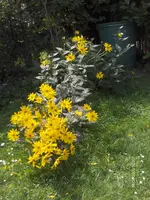 HPIM2826.webp
