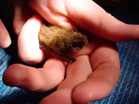 DSC00001.webp