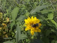 HPIM2828.webp