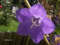 HPIM2829.webp