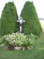 100_2559_450_600.webp