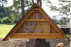 Bienenhaus 1.webp